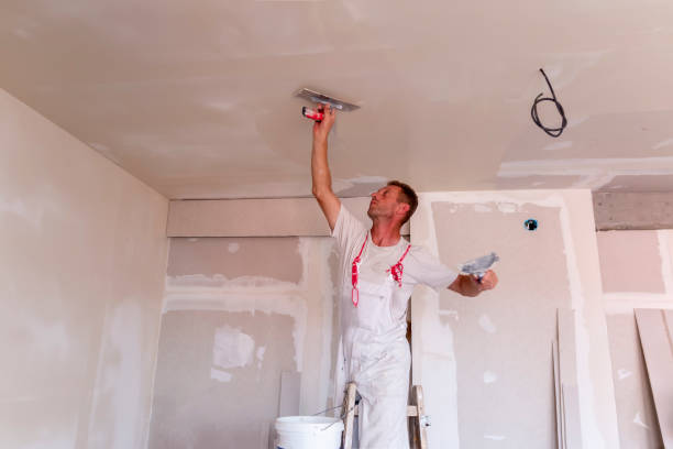 Best Fire-Damaged Drywall Repair  in Waikoloa Village, HI