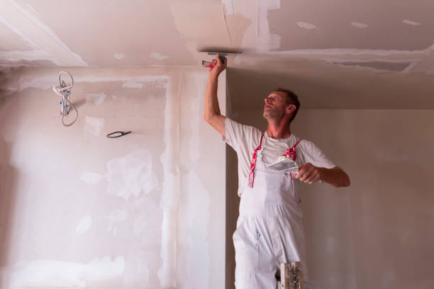 Best Drywall Installation  in Waikoloa Village, HI